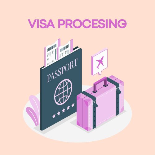 compressed_Visa Processing